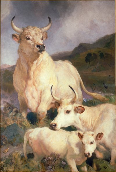 Bétail sauvage de Chillingham, Northumberland, vers 1867 - Edwin Landseer